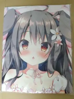 かぼすライム うえっち ホロライブ 戌神ころね 抱き枕カバー - メルカリ