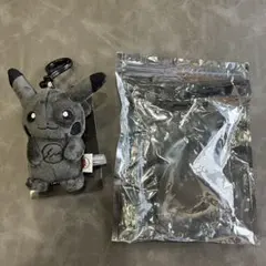 2025年最新】thunderbolt project ピカチュウの人気アイテム - メルカリ