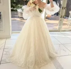 ウェディングドレス　大きいサイズ　Aライン SFW133 ベール付