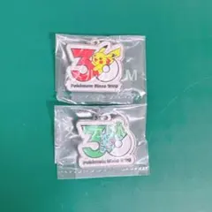 ポケモン 30周年 メタルチャームマスコット 2種セット