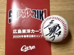 2026年最新】カープ サインボールの人気アイテム - メルカリ