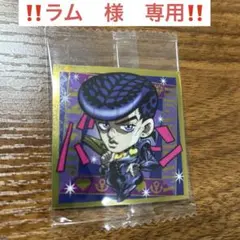 ラム　様　専用商品