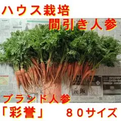 Item thumbnail for item 26668dac-0ab1-473e-848d-655c18df636c