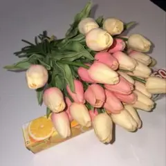 チューリップ（ピンクと白ピンク・白の32本セット）