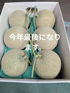 50訳あり　富良野産赤肉メロン　8kg箱　6玉入り 59訳あり 富良野産赤肉メロン 8kg箱 6玉入り - メルカリ