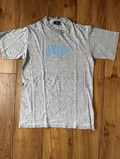 Stüssy グレー Tシャツ Sサイズ