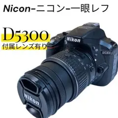 シャッター数3000回以下☆Nikon D5300☆高画質動画☆初心者おすすめ☆ シャッター数3000回以下☆Nikon D5300☆高画質動画☆初心者おすすめ☆