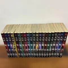 天空侵犯　全巻セット 送料無料 天空侵犯 1-21巻 三浦追儺/大羽隆廣 中古コミック 漫画