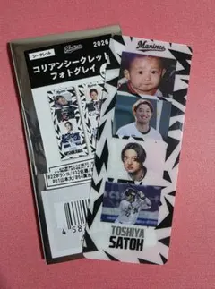 千葉ロッテマリーンズ 佐藤都志也 コリアンシークレットフォトグレイ