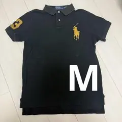 polo Ralph Lauren ポロシャツ ビッグポニー swag 値下げ⭕️ - メルカリ