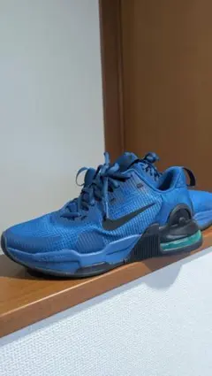 NIKE エアマックスアルファトレーナー5 未使用品 AIR MAX