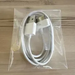 iPhone 充電ケーブル