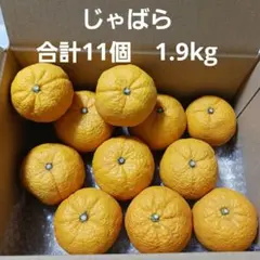 じゃばら　合計11個　1.9kg　送料込み