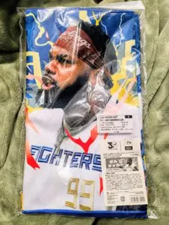 Jリーグオールスターサッカー限定 フェイスタオル＆非売品カードセット