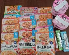 WAKODO 離乳食 セット