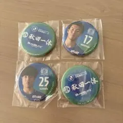 ブラウブリッツ秋田　オフィシャルグッズ(新品)