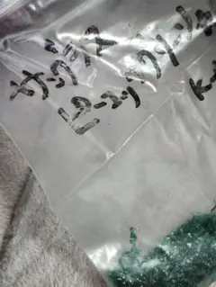 サングラス　フリット　ピーコックグリーン