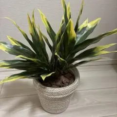 Item thumbnail for item 994cdc6b-2134-4c4c-a516-4eb54813083a