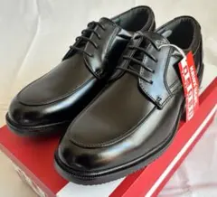 Item thumbnail for item 8022e348-8068-4279-ab4d-e89f0a1818f3