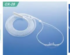 Item thumbnail for item 2d4eef73-3f9e-4ab2-93bb-8df9c5385a2b