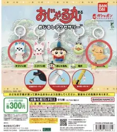 c*様 おじゃる丸 めじるしアクセサリー