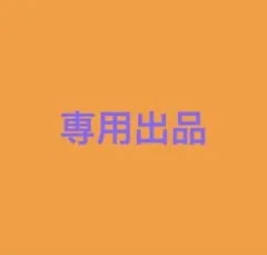 専用出品
