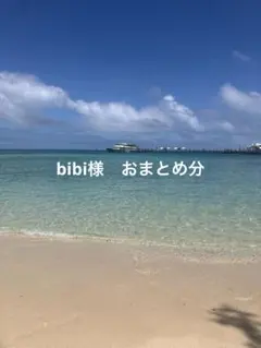 bibi様おまとめ分