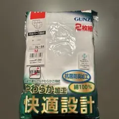 GUNZE メンズブリーフ　綿100% Ｍサイズ　2枚組　日本製　抗菌防臭加工