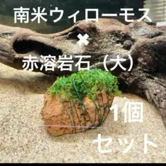 ファルコ様 リクエスト 2点 まとめ商品