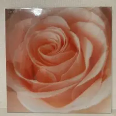 サニーデイ・サービス Best Flower レコード