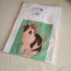 ✨️可愛い(*^^*)猫プリント ホワイトTシャツ
