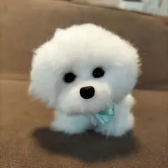 Item thumbnail for item 20b9eb00-1cf4-446e-8c9b-b5410aee27a4