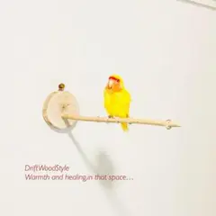 Item thumbnail for item 7b465d4f-6b74-4694-b4c8-38b4c19bc25a