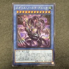 2025年最新】メガリス・ノートラ・プルーラの人気アイテム - メルカリ