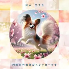 イナカッペ（プロフ必読）様 リクエスト 2点 まとめ商品