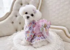 B490.pon2pan2☆犬オーダー浴衣☆犬有松絞り浴衣☆犬浴衣 B490.pon2pan2☆犬オーダー浴衣☆犬有松絞り浴衣☆犬浴衣 - メルカリ
