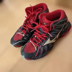 美品ミズノ バレーボールシューズ 24.0cm ブラック/レッド