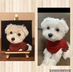ペット似顔絵　オーダーイラスト　犬　猫　ペット