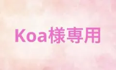 Koa様専用ページ