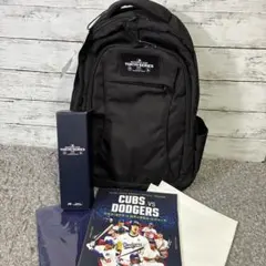 Item thumbnail for item 66f10b01-b047-4a82-a72f-8ad5ae95a2ef