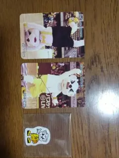 サンロッカーズ渋谷　サンディー　フレディー・マーキュリー　カード シール