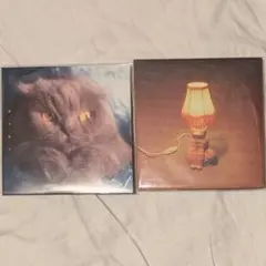 猫戦　蜜・月・紀・行 ジンジャー・キャット・アプリシエーション　CD2枚セット