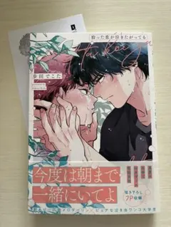 拾った恋が泣きたがってる