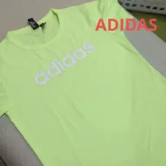 Item thumbnail for item da1c5300-88c5-434a-85e1-7a34ed22e66b