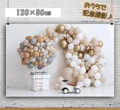 背景布【空C】サンプル ペット、トリミング、キッズ撮影用フォトブース