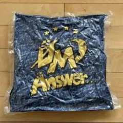 登坂広臣 omi ANSWER クッション