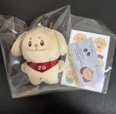enhypen ジェイク ぬいぐるみ 10cm 新品 マスター - メルカリ