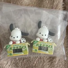 サンリオキャラクターズ ダンボールウォッチ2 ポチャッコ 2個セット