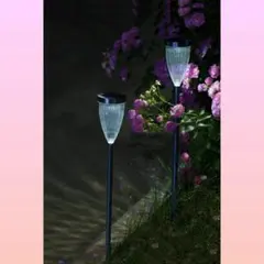 Item thumbnail for item 88ca6a11-1d10-4dce-81e0-9b062cefb234