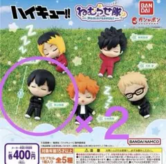 ☆お値下げ☆ハイキュー!! 影山飛雄 ねむらせ隊